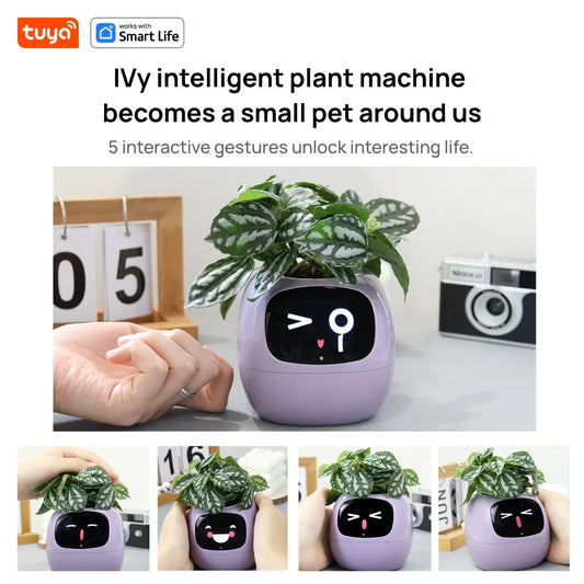 Smart Planter,AI 7 sensors