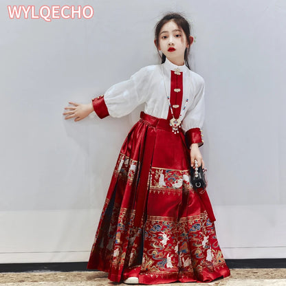 Hanfu Jurk