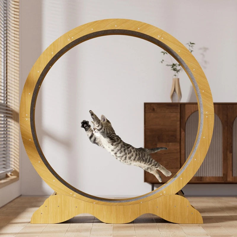 Loopband voor Katten