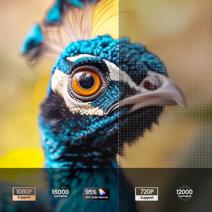 Video Projector Portable