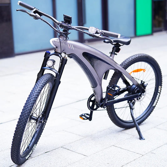 Fiets Elektrische Hybride