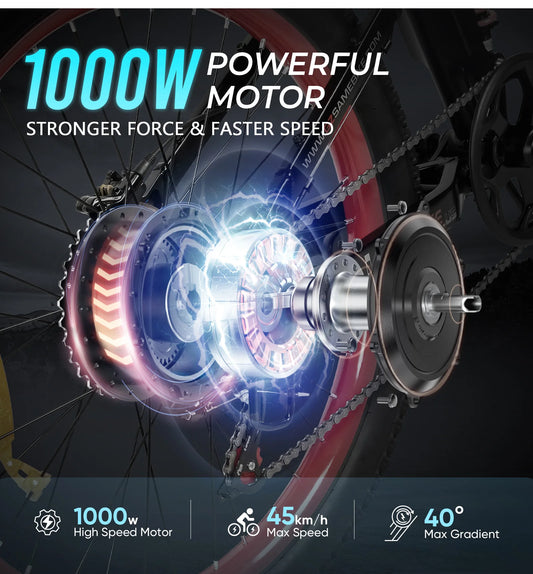 Fiets Electric Bicycle 1000W 48V15AH