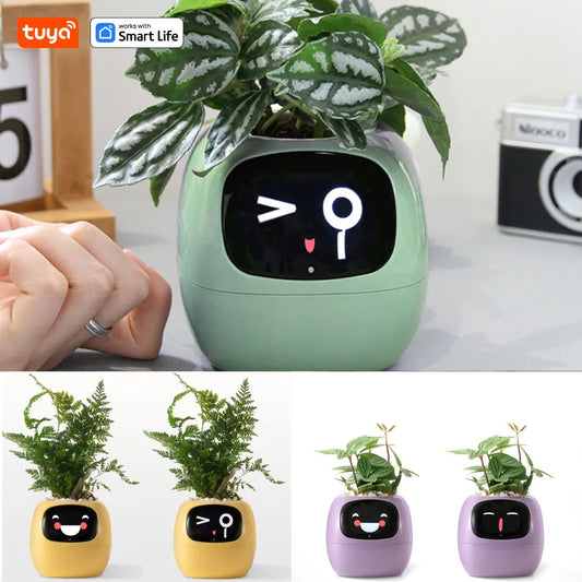 Smart Planter,AI 7 sensors