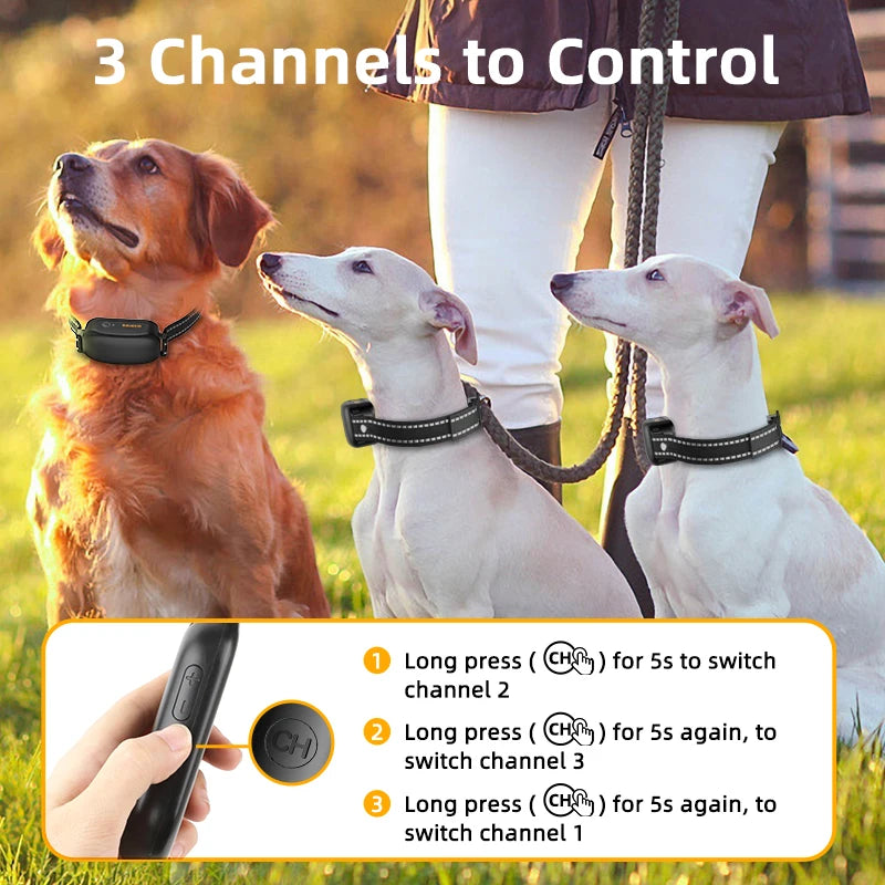 Electric Dog Training Waterproof , Vibrator
