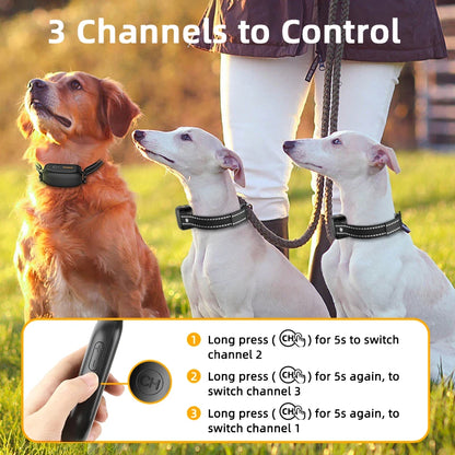 Electric Dog Training Waterproof , Vibrator